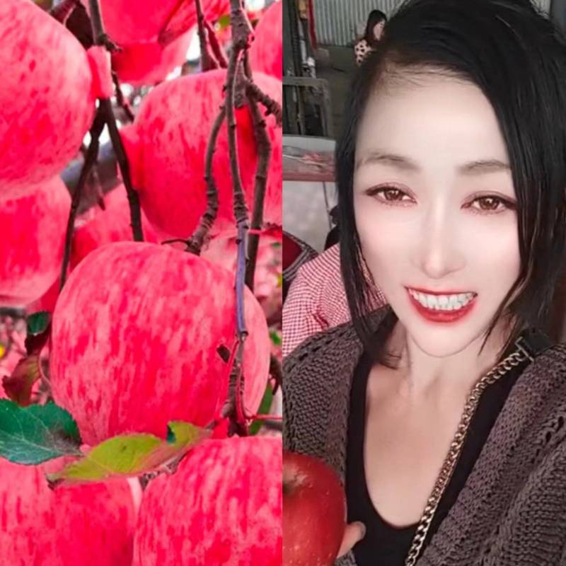 【膜袋红富士苹果上市】脆甜多汁！对接电商！库存！6毛起步