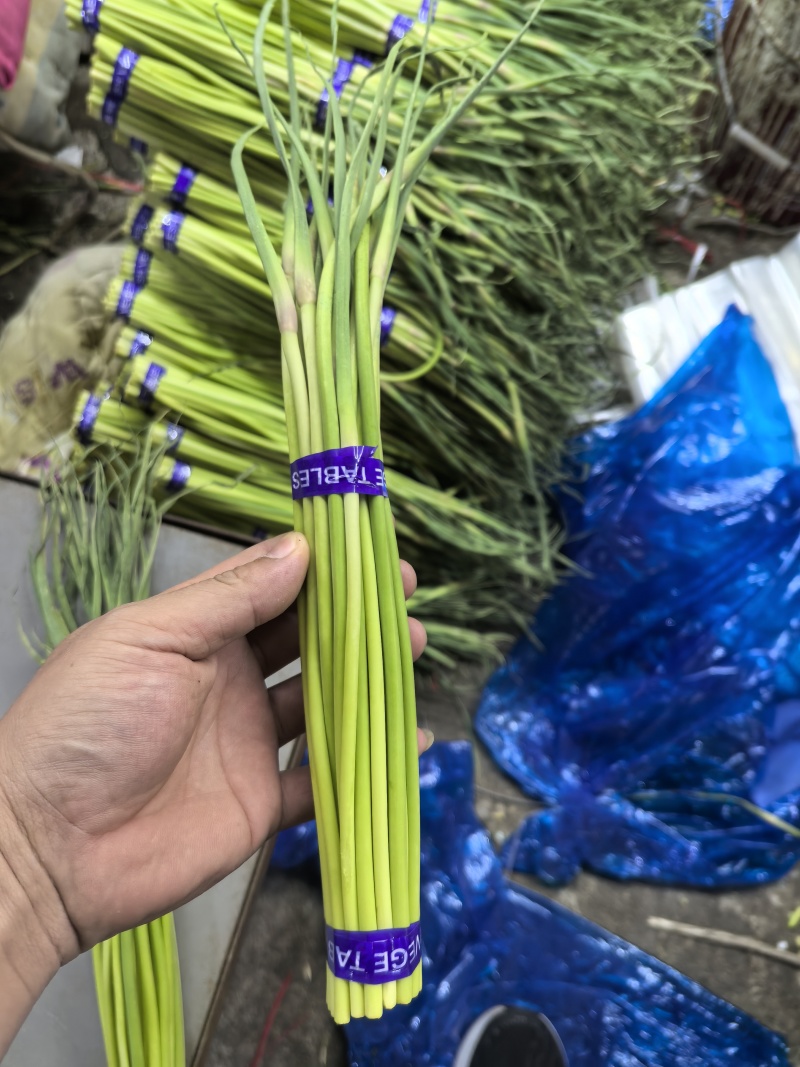 邳州红帽蒜薹直苔电商优选各大电商平台的**价格不高