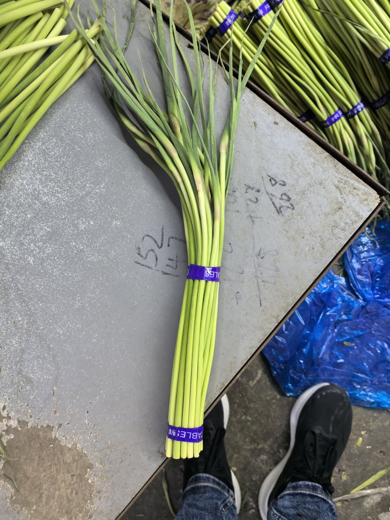 邳州红帽蒜薹直苔电商优选各大电商平台的**价格不高