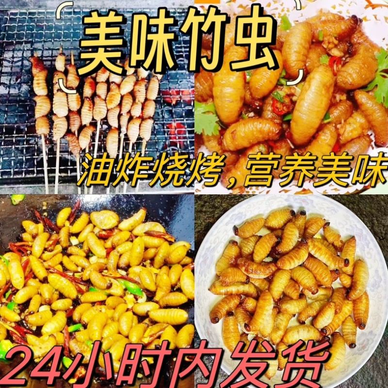 竹笋虫冷冻