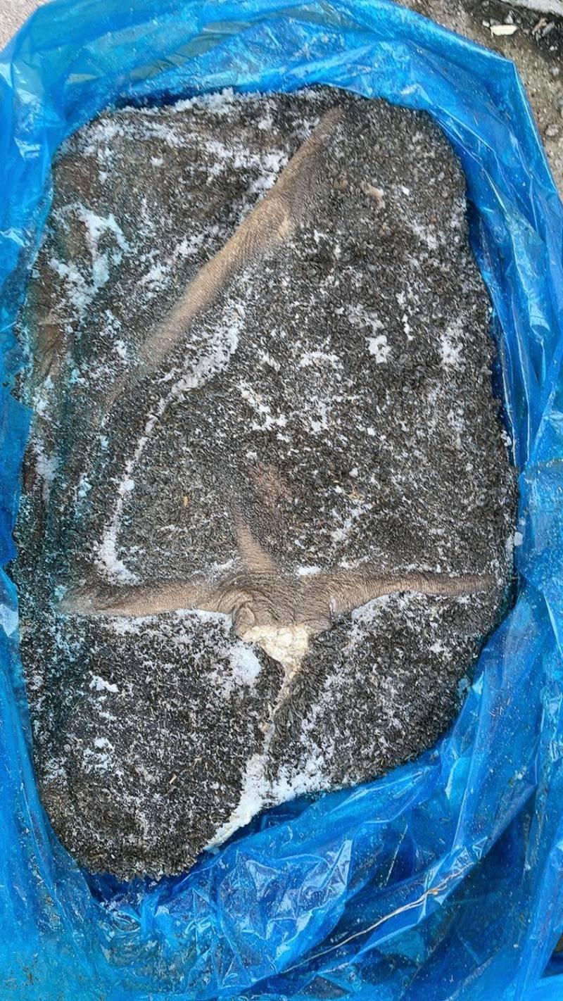 黑毛肚现货实拍质量好价格便宜一手货源