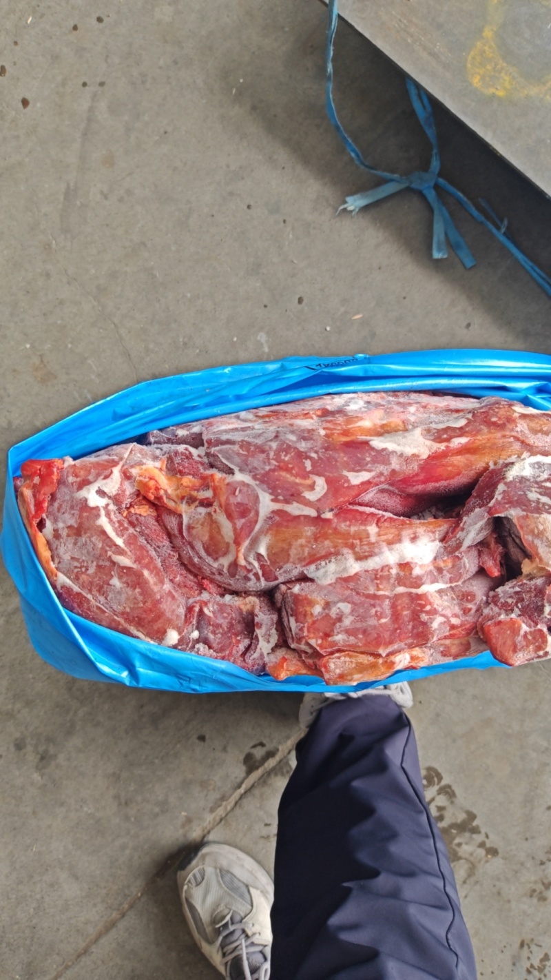 马肉前腿马后腿马肋条马腱子马脖肉