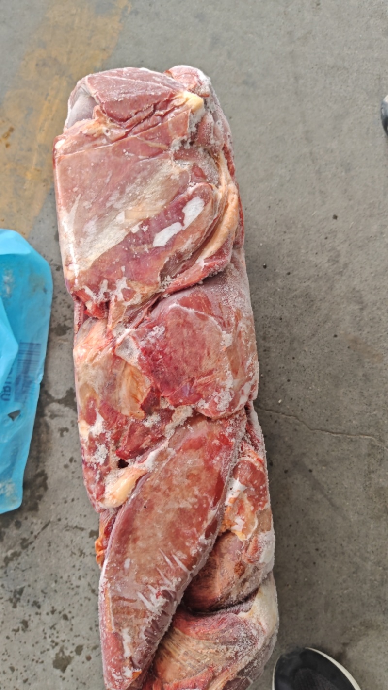 马肉前腿马后腿马肋条马腱子马脖肉