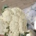 散花菜