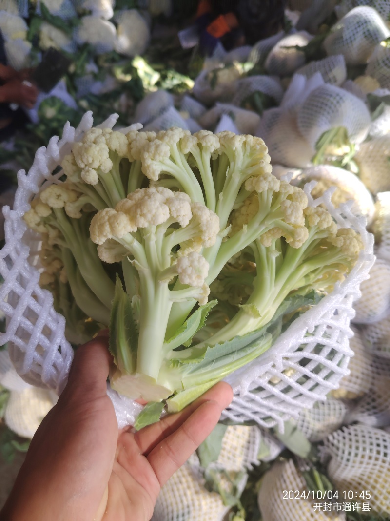 散花菜