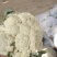 散花菜