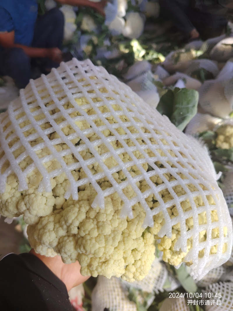 散花菜