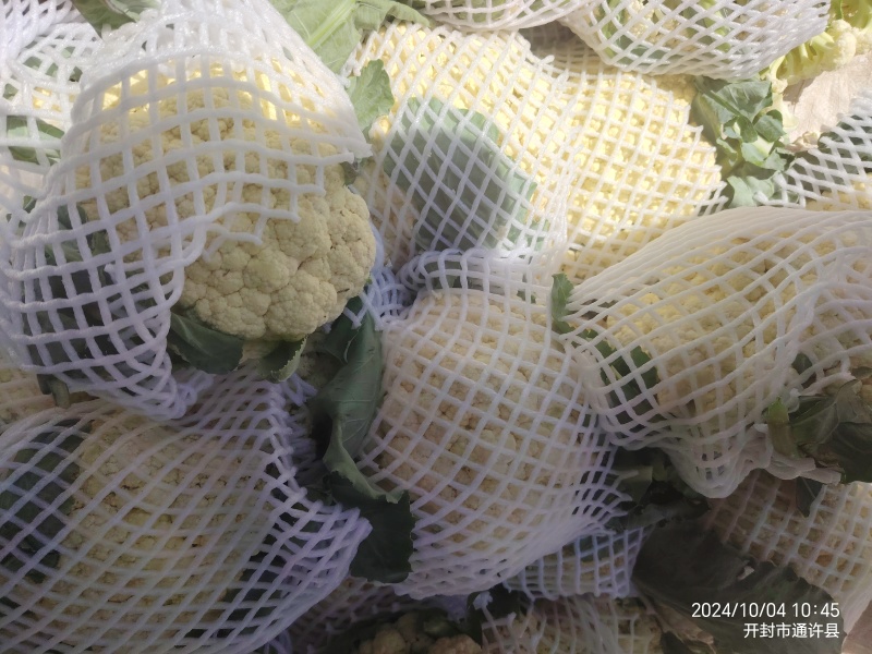 散花菜
