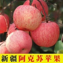 精品好货新疆阿克苏苹果冰糖心果核小品质好对接全国