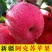 精品好货新疆阿克苏苹果冰糖心果核小品质好对接全国