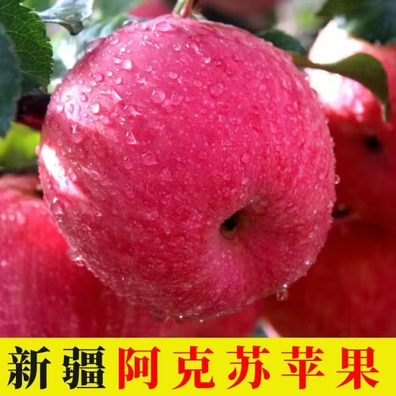 精品好货新疆阿克苏苹果冰糖心果核小品质好对接全国