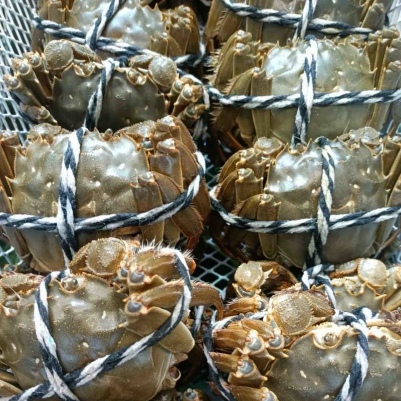 【精选】大闸蟹产地直供规格齐全价格优惠品质保障