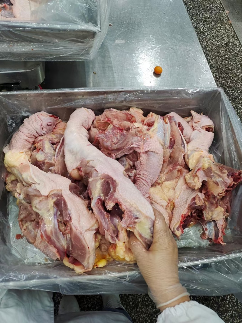 老鸡架，母鸡架