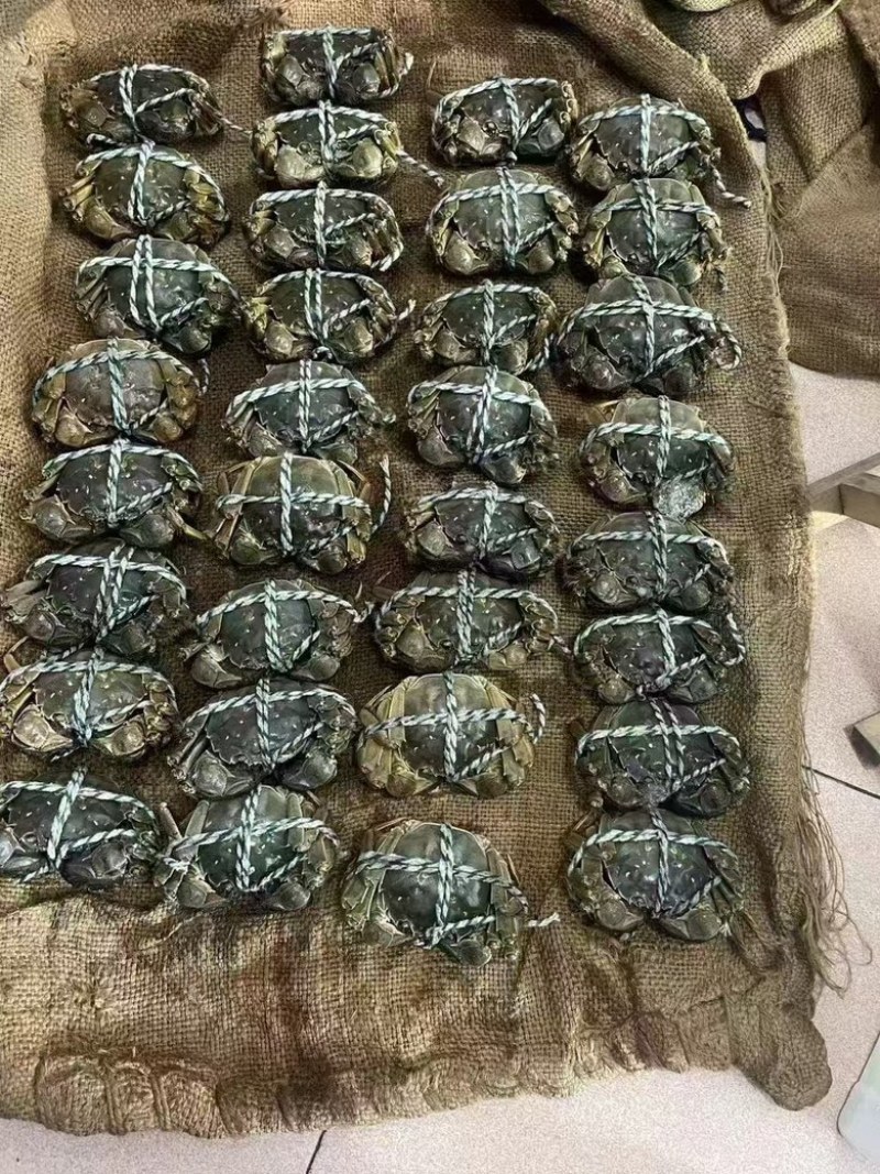 【精选】大闸蟹产地直供规格齐全价格优惠品质保障
