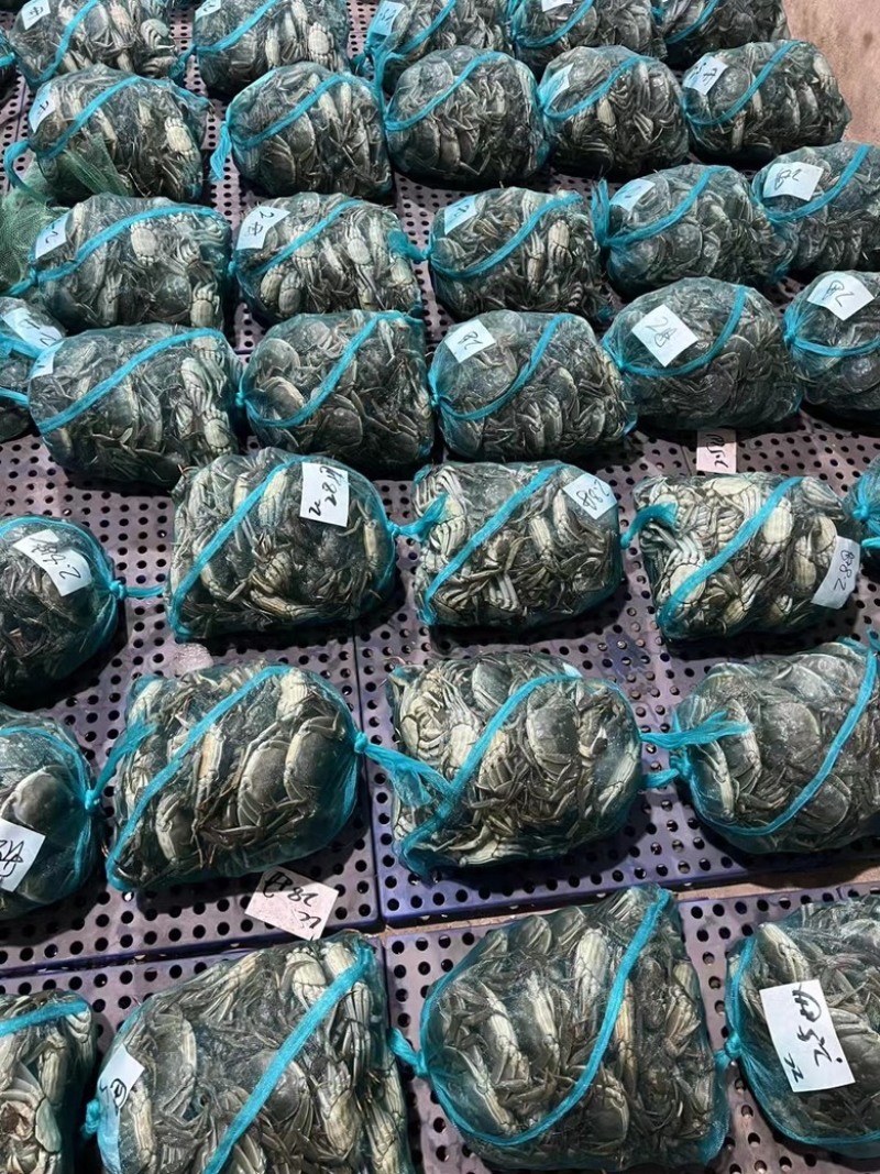 【精选】大闸蟹产地直供规格齐全价格优惠品质保障