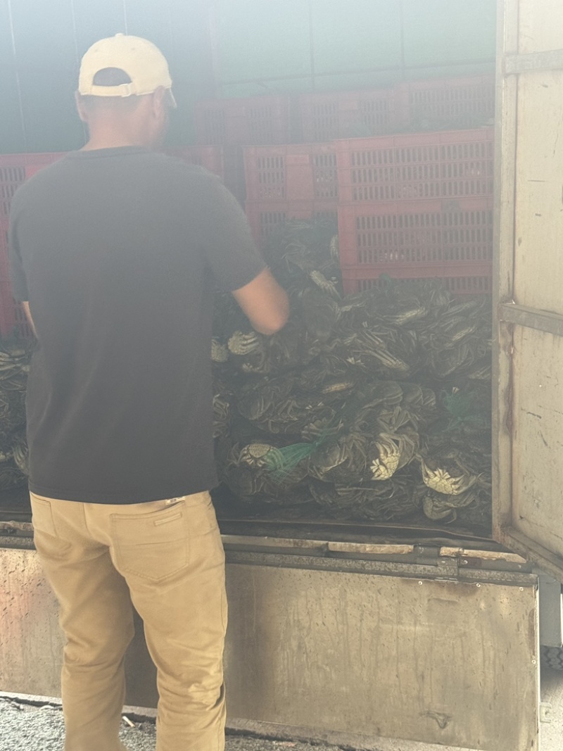【精选】大闸蟹产地直供规格齐全价格优惠品质保障