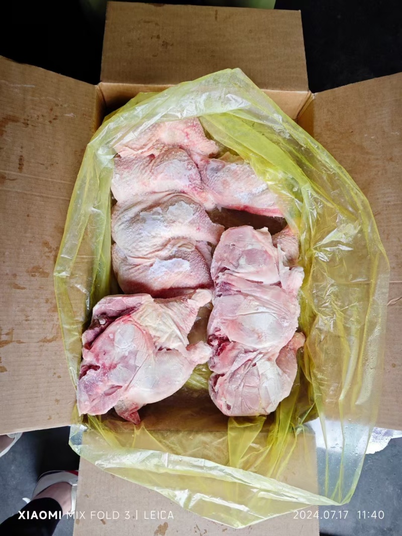老鸡腿，母鸡排腿