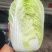 大白菜
