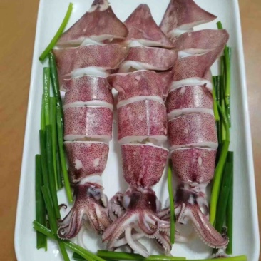 灯光鱿鱼船钓鱿鱼船冻价格好谈可发全国