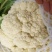 菜花有机松花菜安徽产区散花小米粒花菜代收代发全国