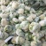 菜花有机松花菜安徽产区散花小米粒花菜代收代发全国