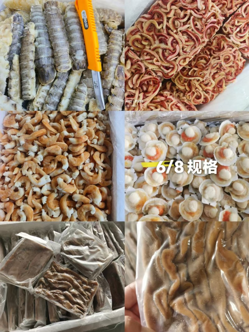 兰花蚌日料刺身兰花蚌干冰兰花蚌兰花蚌
