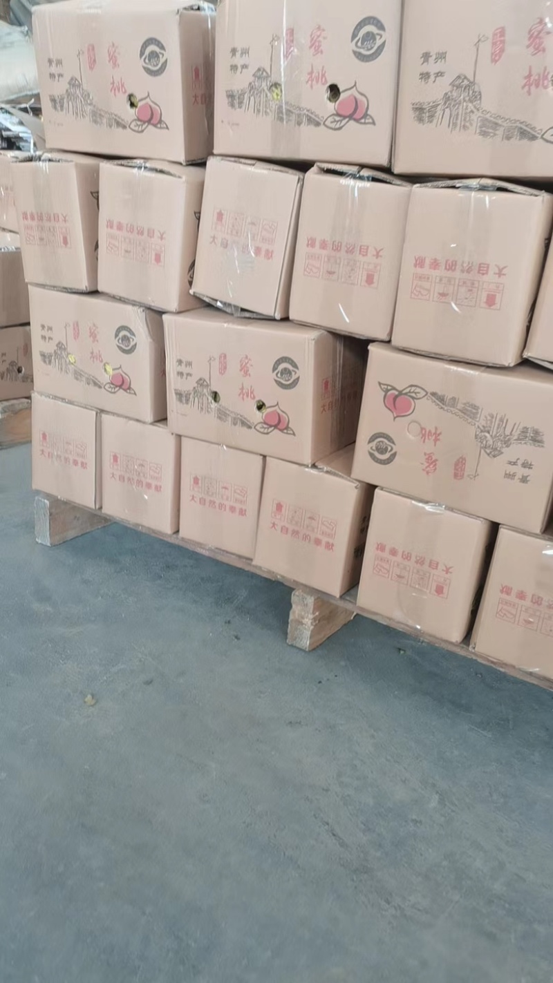 【山东】冬雪蜜桃半离核蜜桃大量供应万亩果园产地直供