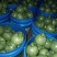 精品地雷小圆瓜