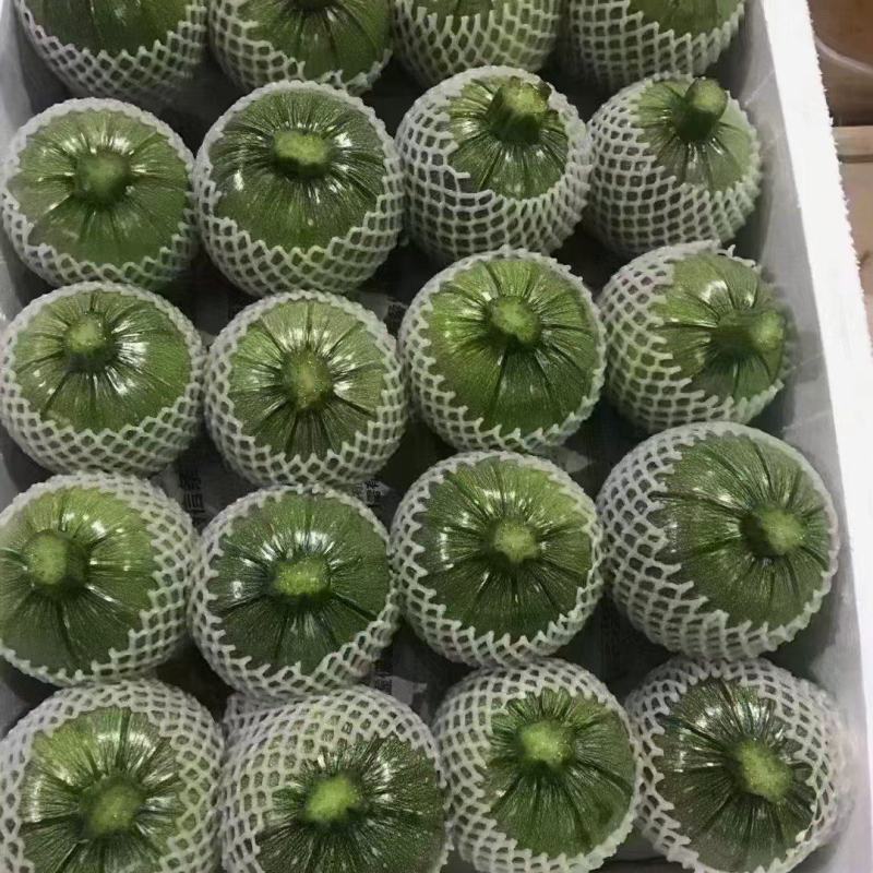 精品地雷小圆瓜