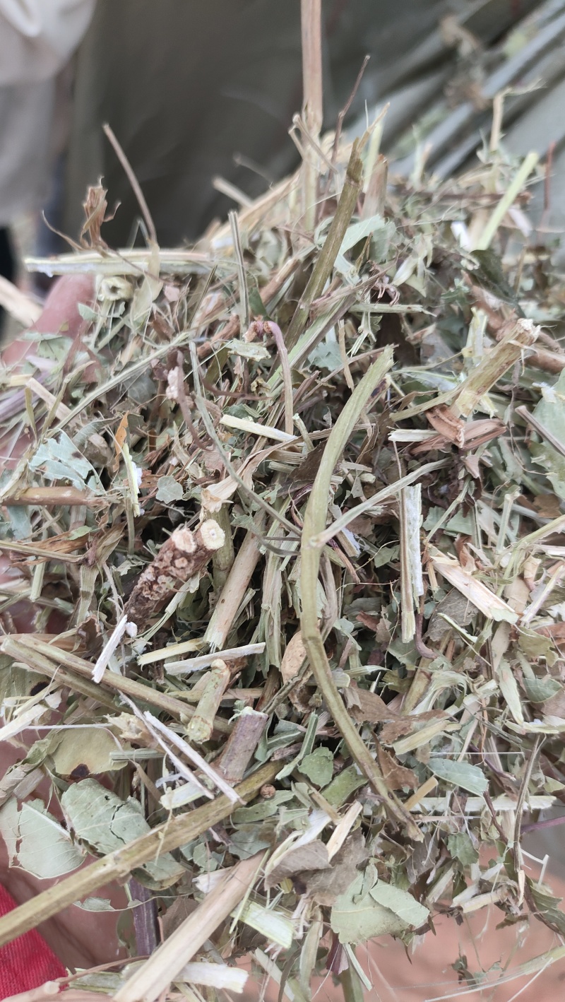 袋装花生秧叶子草，货量充足，全国发货价格随行就市欢迎致电