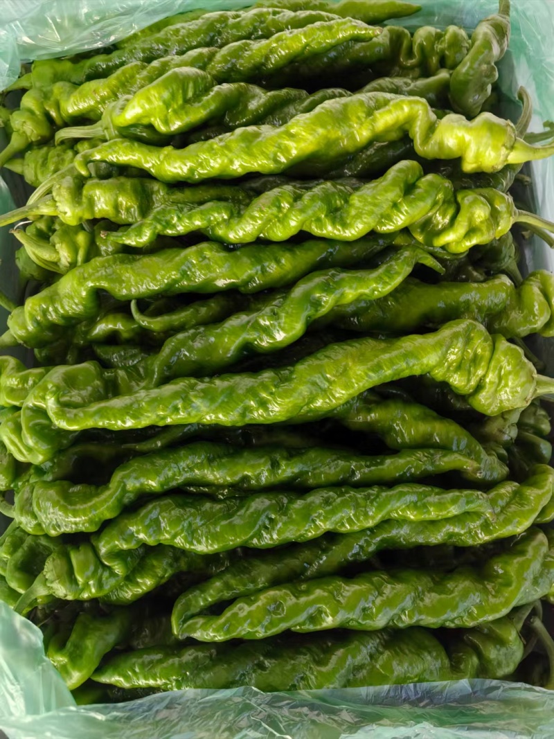 螺丝椒