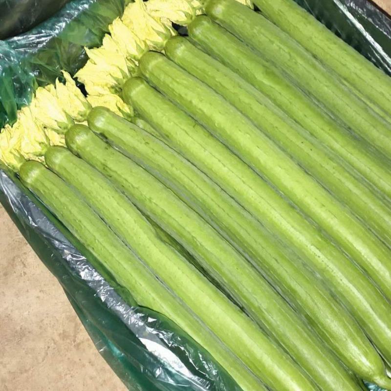 鲜花丝瓜