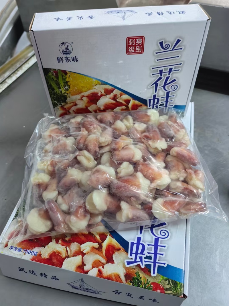 兰花蚌兰花蚌兰花蚌兰花蚌兰花蚌兰花蚌兰花蚌兰花蚌兰花蚌兰