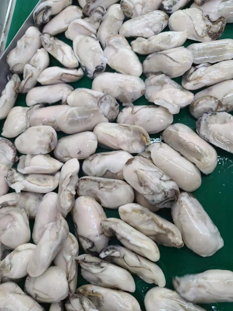 牡蛎肉海蛎子肉牡蛎肉海蛎子肉鲜品海蛎子肉单冻海蛎子肉