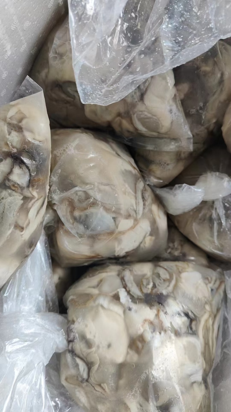 牡蛎肉海蛎子肉牡蛎肉海蛎子肉鲜品海蛎子肉单冻海蛎子肉