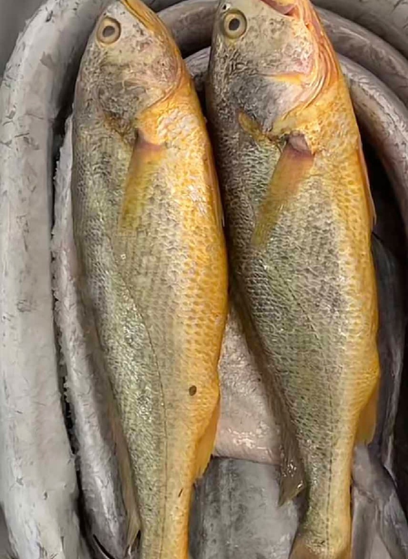 海鲜大礼包批发价格面议