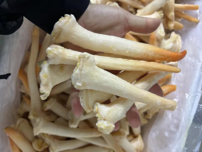 象拔蚌，单冻干冰象拔蚌，A蚌，象拔蚌头，
