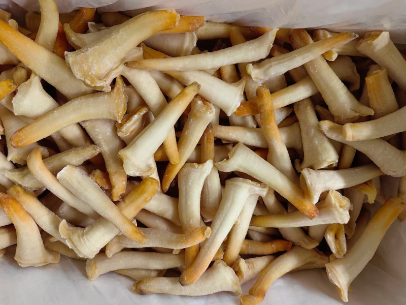 象拔蚌，单冻干冰象拔蚌，A蚌，象拔蚌头，