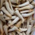 象拔蚌，单冻干冰象拔蚌，A蚌，象拔蚌头，