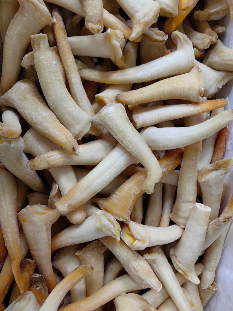 象拔蚌，单冻干冰象拔蚌，A蚌，象拔蚌头，