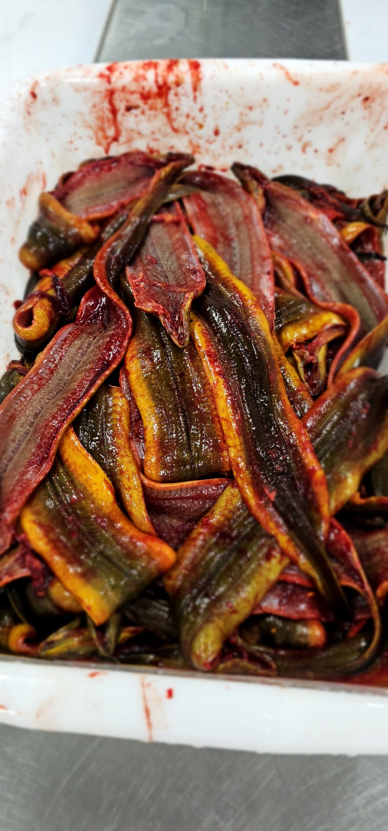 鳝鱼片