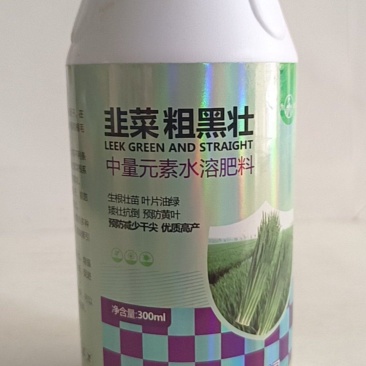 韭菜粗又壮控旺抗倒叶黑增粗柱丛直立可用于韭菜青菜等