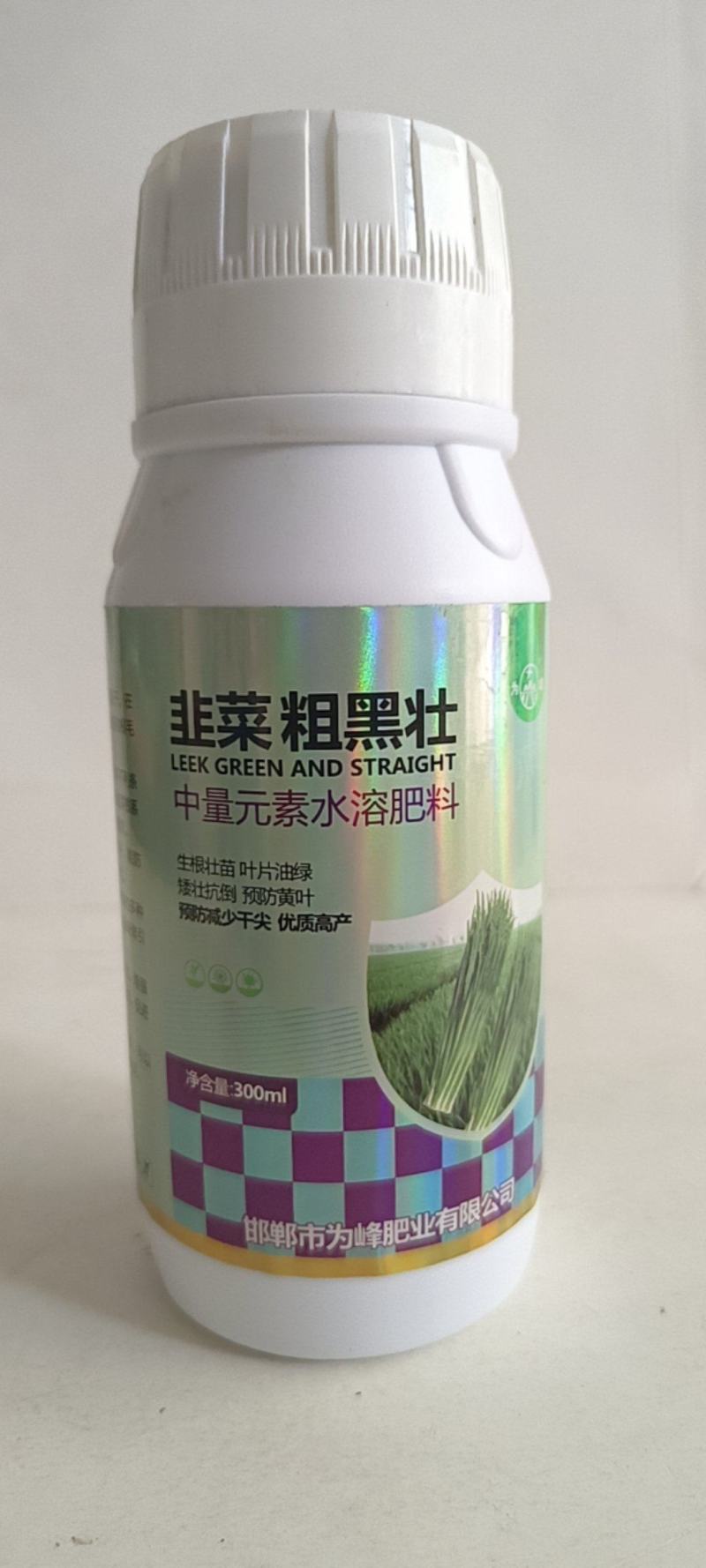韭菜粗又壮控旺抗倒叶黑增粗柱丛直立可用于韭菜青菜等