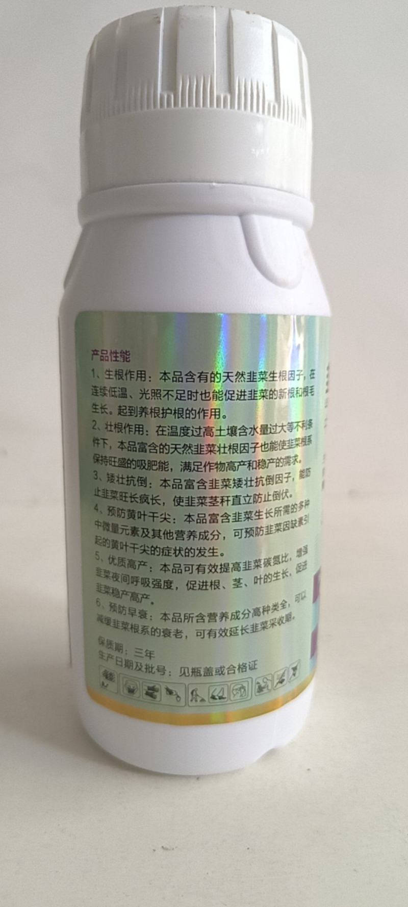韭菜粗又壮控旺抗倒叶黑增粗柱丛直立可用于韭菜青菜等