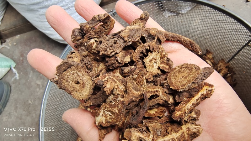 羌活川羌活干货切片2斤起包邮量大优惠
