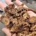 羌活川羌活干货切片2斤起包邮量大优惠