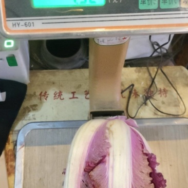 精品紫白菜