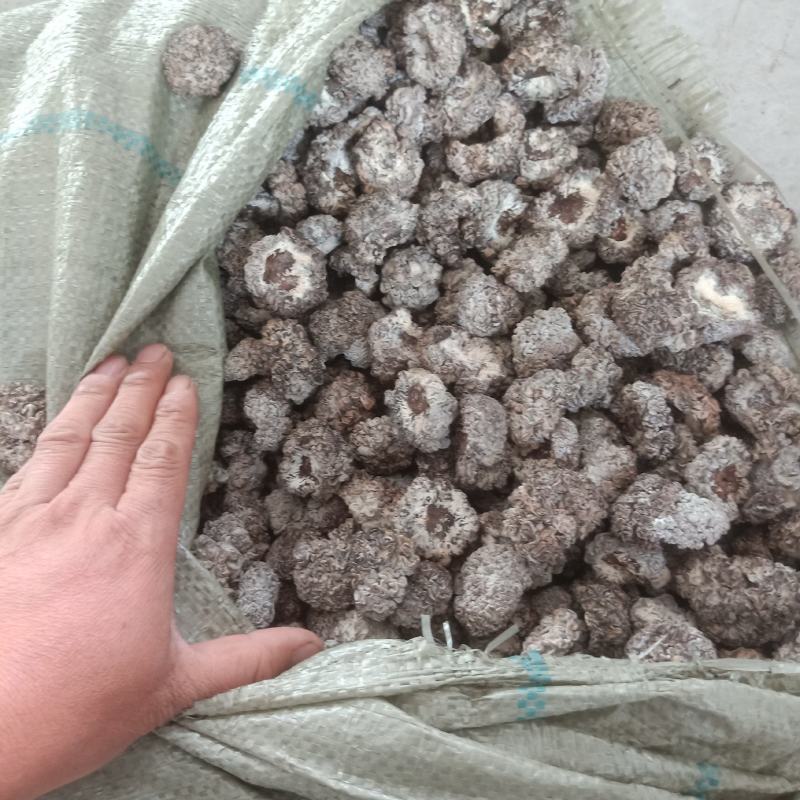 核桃菌又名猴脑茵玛卡茵还有核桃菌片儿高端低端都有欢迎