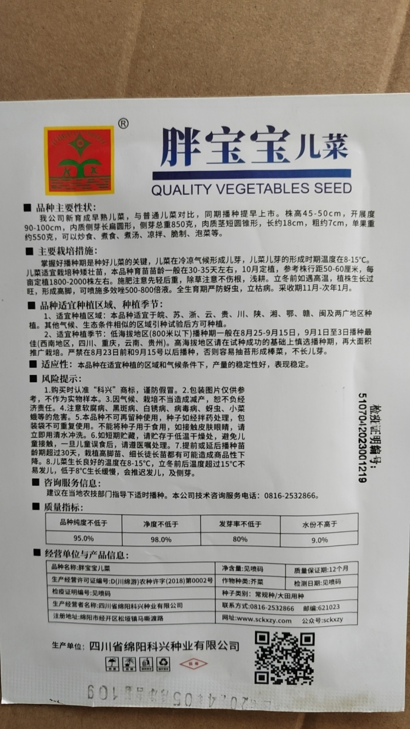 早熟儿菜种子儿子菜种子抱儿菜种子抱子芥种子