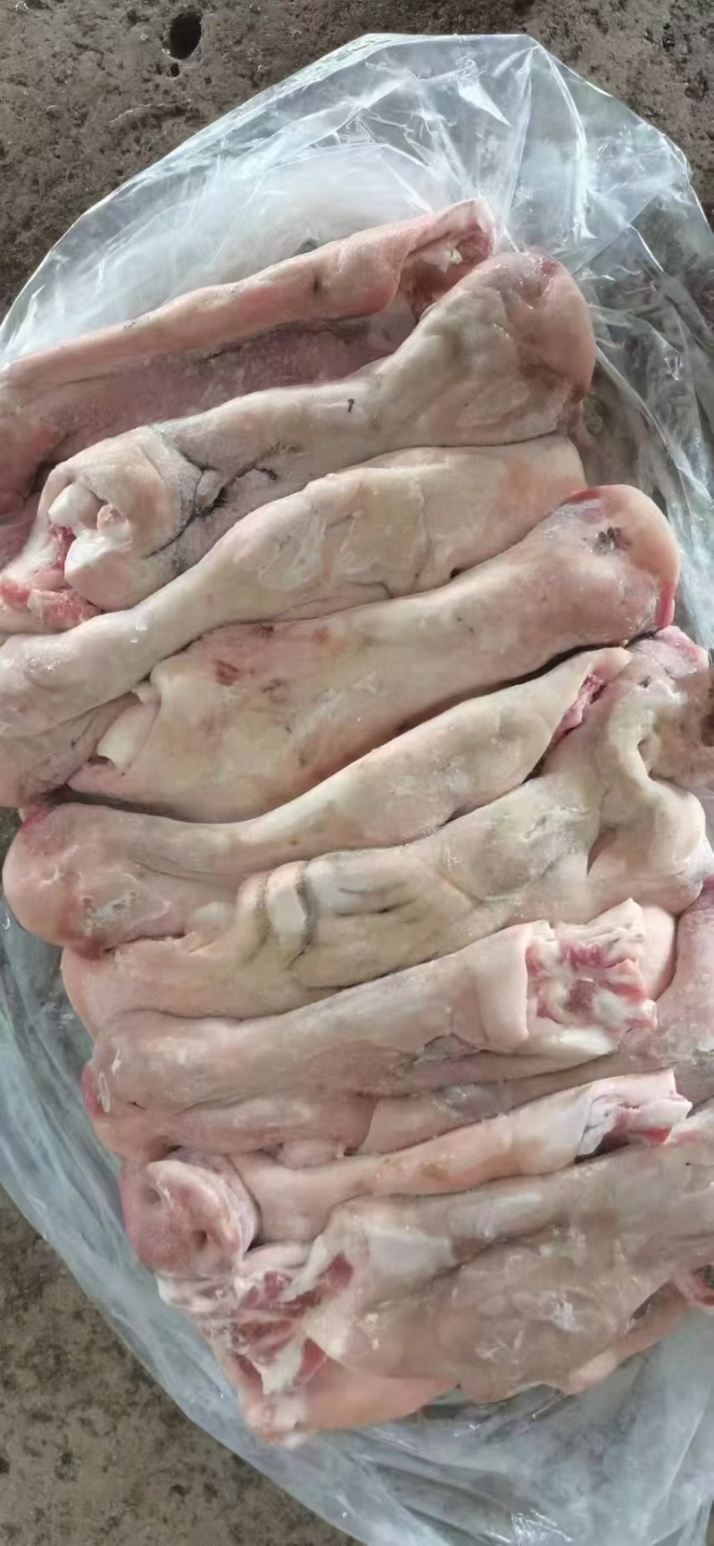猪脸皮
